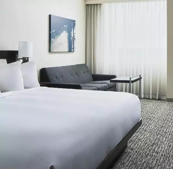 身障者適用キングサイズベッドルーム, Austin Marriott North