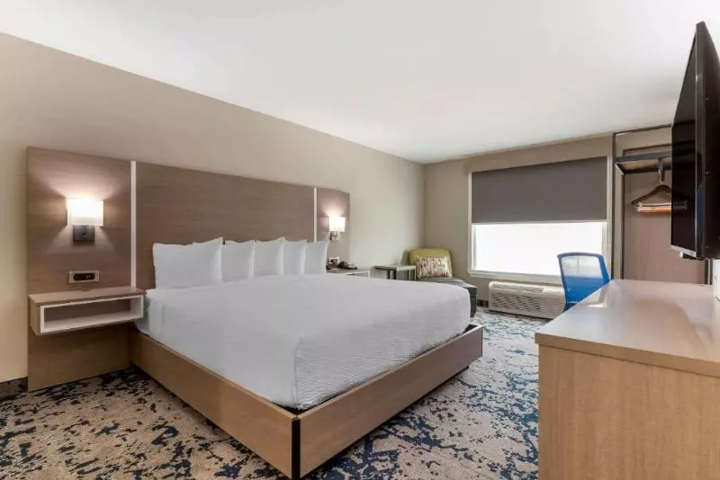 キングサイズベッドのスタンダードルーム, Comfort Inn & Suites
