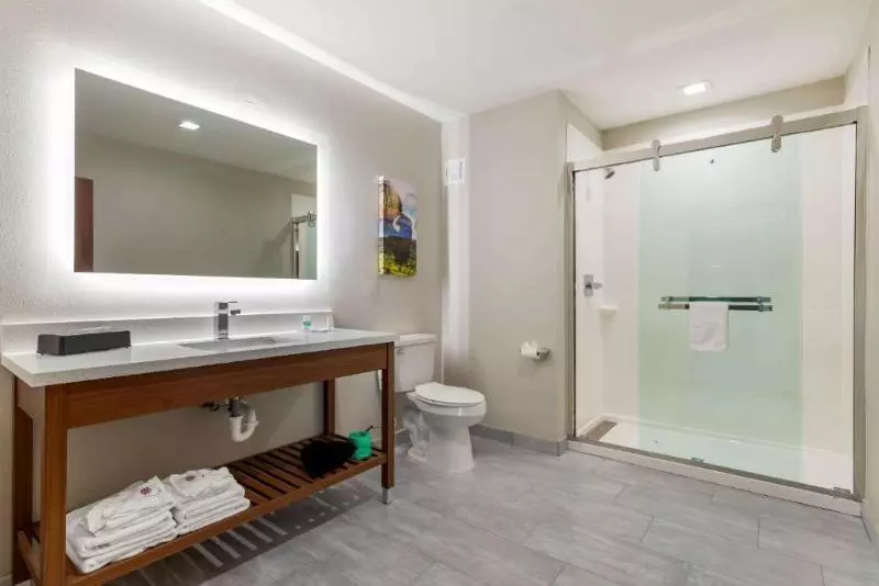 キングサイズベッドのスイートルーム, Comfort Inn & Suites