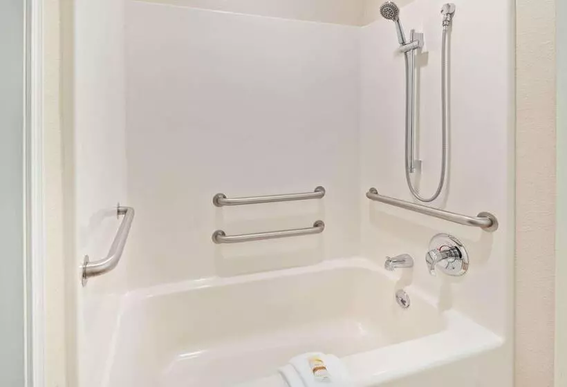 اتاق استاندارد با تخت دوبل برای معلولان, La Quinta Inn By Wyndham Missoula