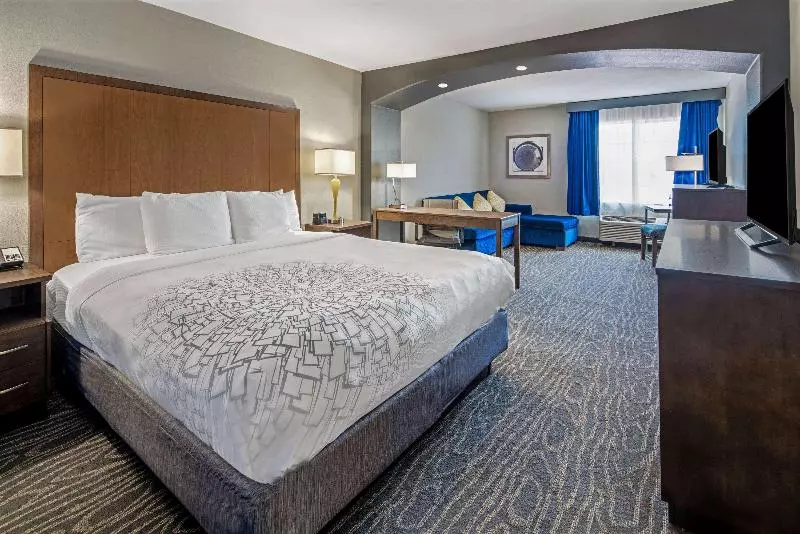 اتاق اجرایی با تخت بزرگ, La Quinta By Wyndham Brownsville North