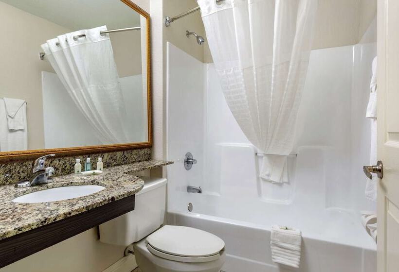 Люкс Адаптированный для Инвалидов, Quality Inn & Suites Longview I20
