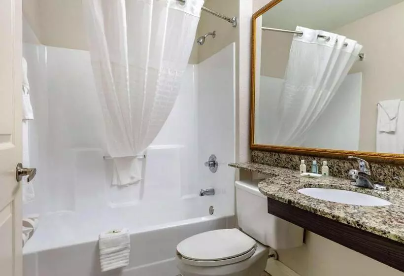 اتاق سوپریور, Quality Inn & Suites Longview I20