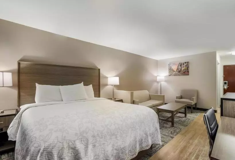 身障者適用スイートルーム, Red Roof Inn Plus+ & Suites Savannah – I 95