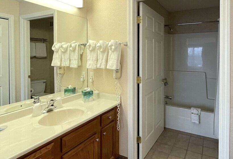 جناح لذوى الاحتياجات الخاصة, Smart Suites, Ascend Hotel Collection