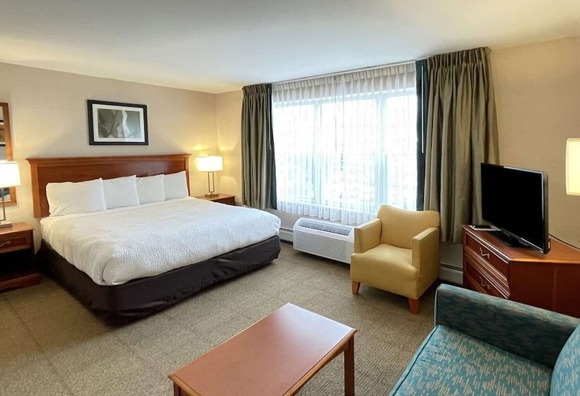 Люкс Адаптированный для Инвалидов, Smart Suites, Ascend Hotel Collection