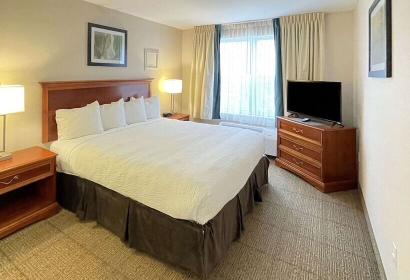 جناح لذوى الاحتياجات الخاصة, Smart Suites, Ascend Hotel Collection