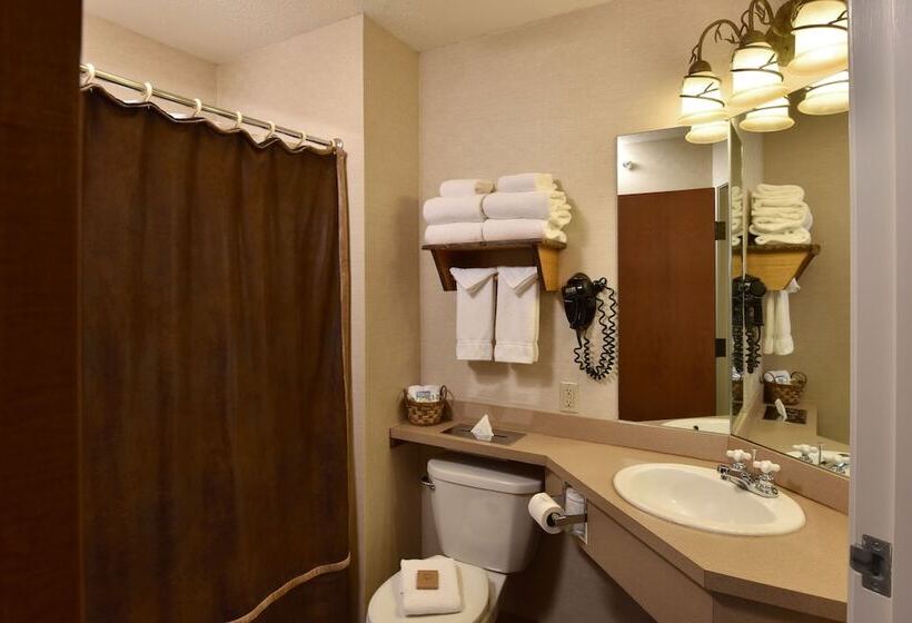 غرفة ديلوكس, Stoney Creek Hotel St. Joseph