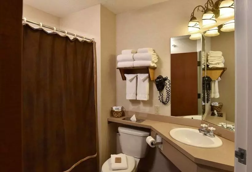 デラックスルーム, Stoney Creek Hotel St. Joseph