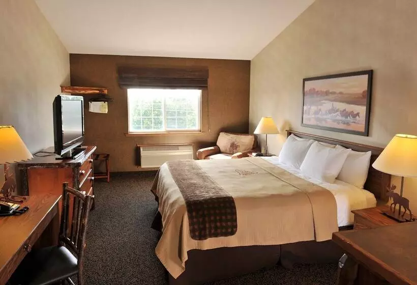デラックスルーム, Stoney Creek Hotel St. Joseph