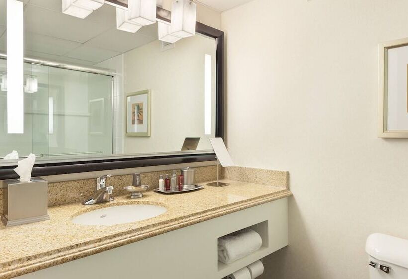 غرفه قياسيه سريرين مزدوجين, West Palm Beach Marriott