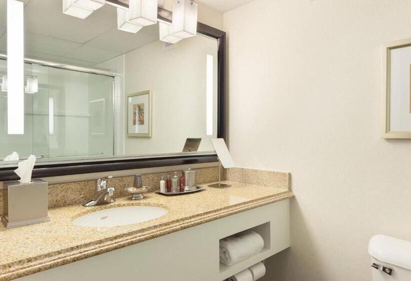 غرفة قياسية سرير كينج, West Palm Beach Marriott