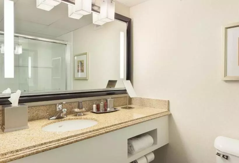 اتاق استاندارد با تخت بزرگ برای معلولان, West Palm Beach Marriott