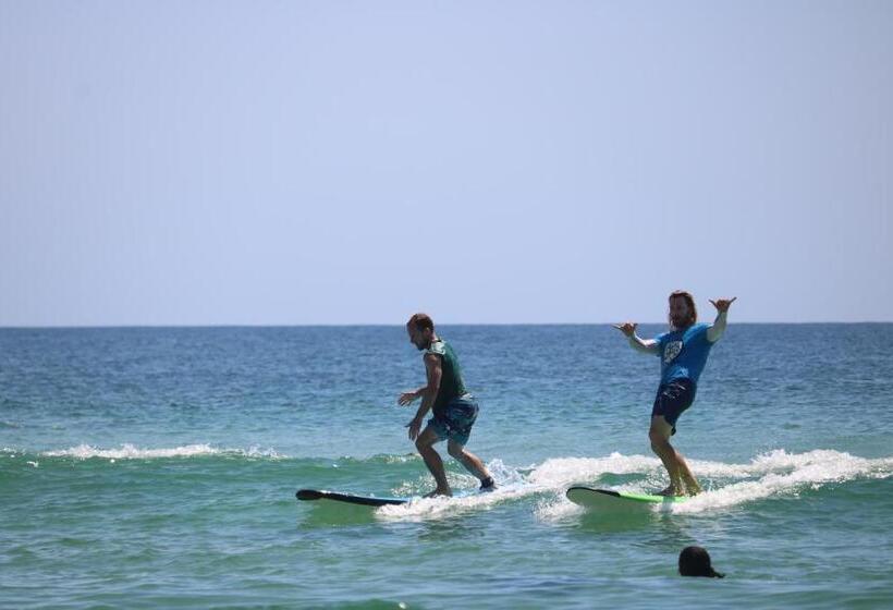 تختخواب در اتاق مشترک, Backpackers Inn On The Beach