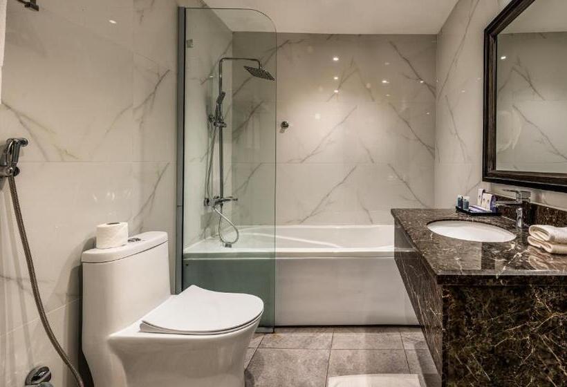 إستوديو قياسى, Sarwat Park