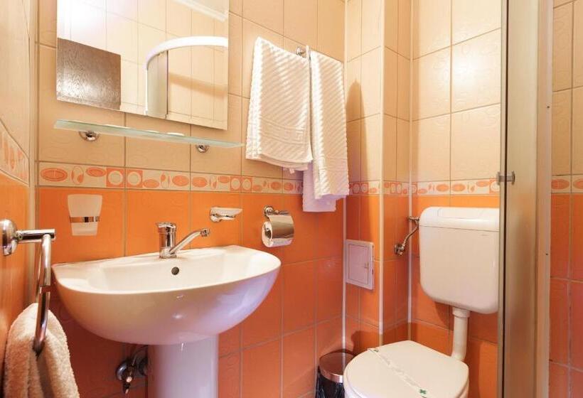 스탠다드 발코니 룸, Pensiunea Alfrid