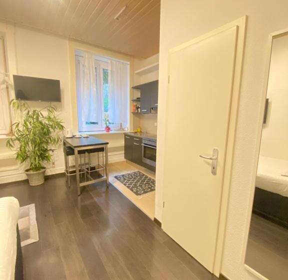 Студия Стандарт, B&b Guest House Du Lac