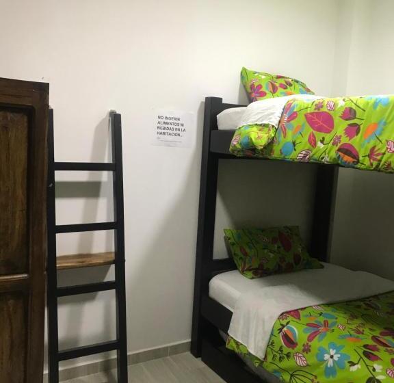 Standard Szoba, Palmi