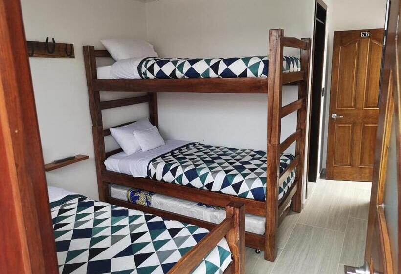 Standar Háromágyas Szoba Erkéllyel, Palmi