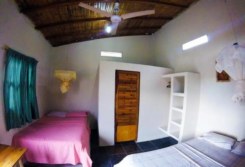 スタンダードルーム, Montañita Garden Hostal