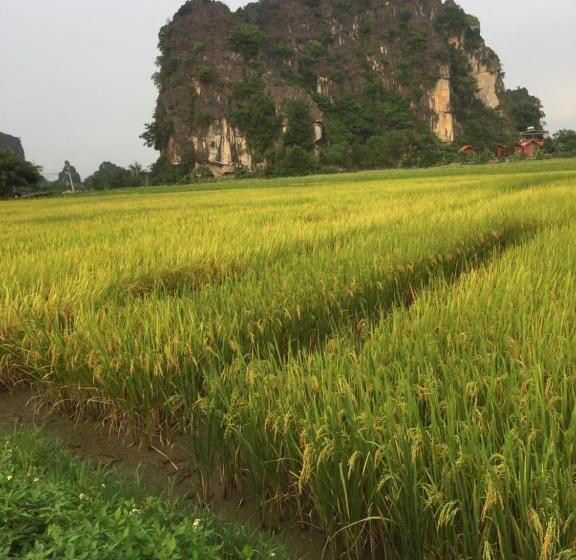 اتاق استاندارد با بالکن, Tam Coc Heart Homestay