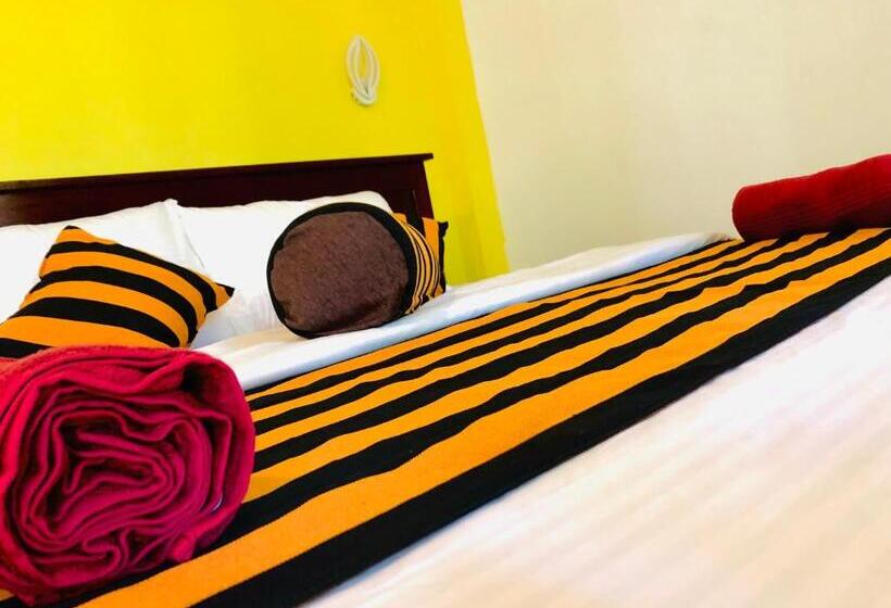 Standardrum, Green Horizon Ella