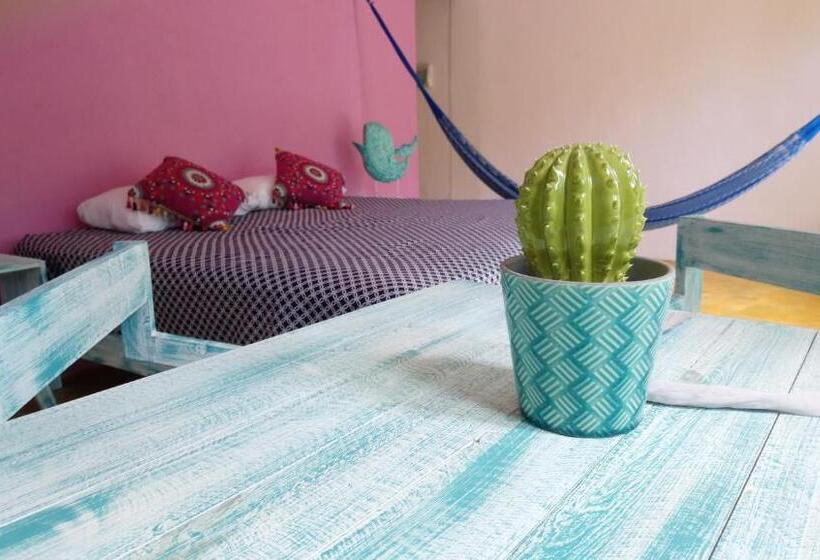 חדר סטנדרט נוף לבריכה, Casa Vainilla Holbox Island