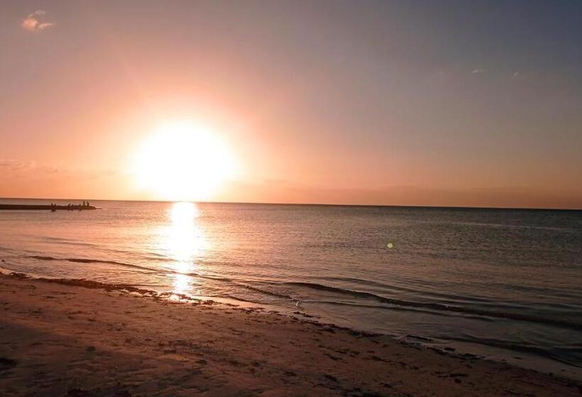 חדר סטנדרט עם מרפסת ונוף לים, Casa Vainilla Holbox Island