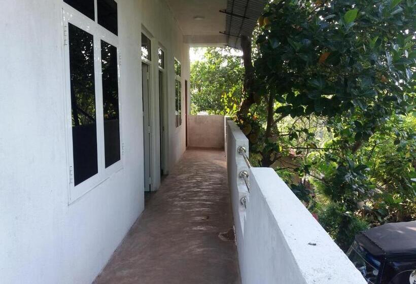 غرفة قياسية, Nature Home