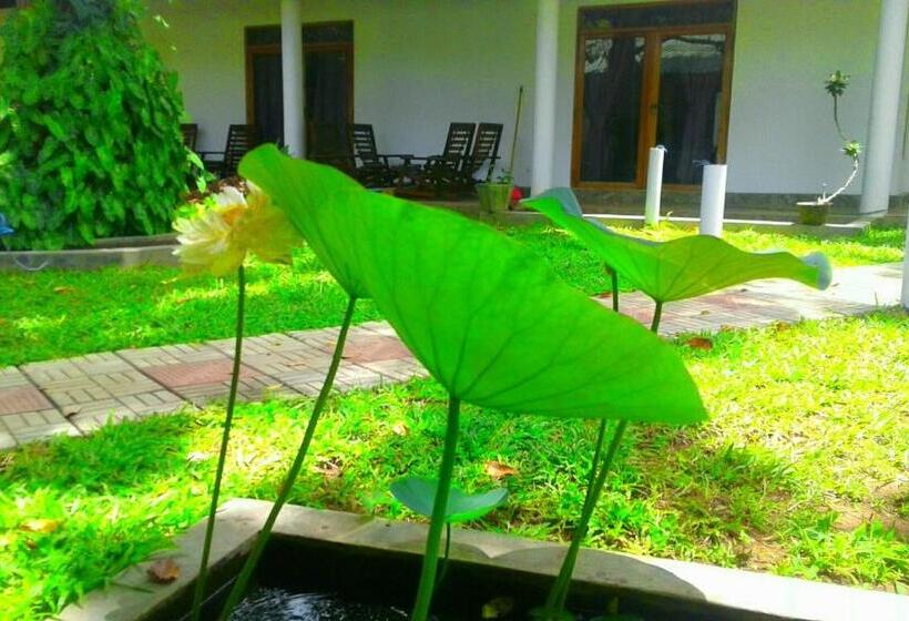 חדר סטנדרט, River Retreat Sigiriya