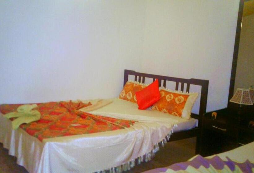 带花园景观的标准三人间, River Retreat Sigiriya