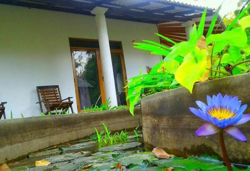 ファミリールーム, River Retreat Sigiriya