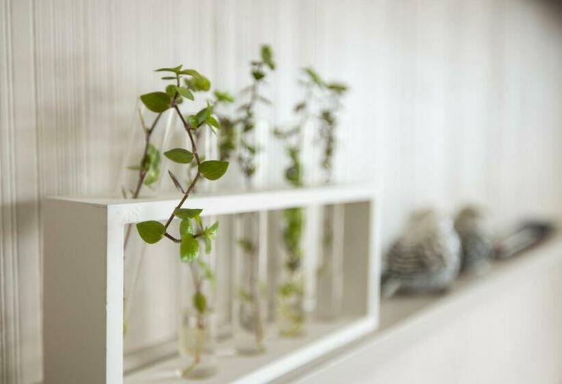 חדר משפחתי, Oamaru Backpackers