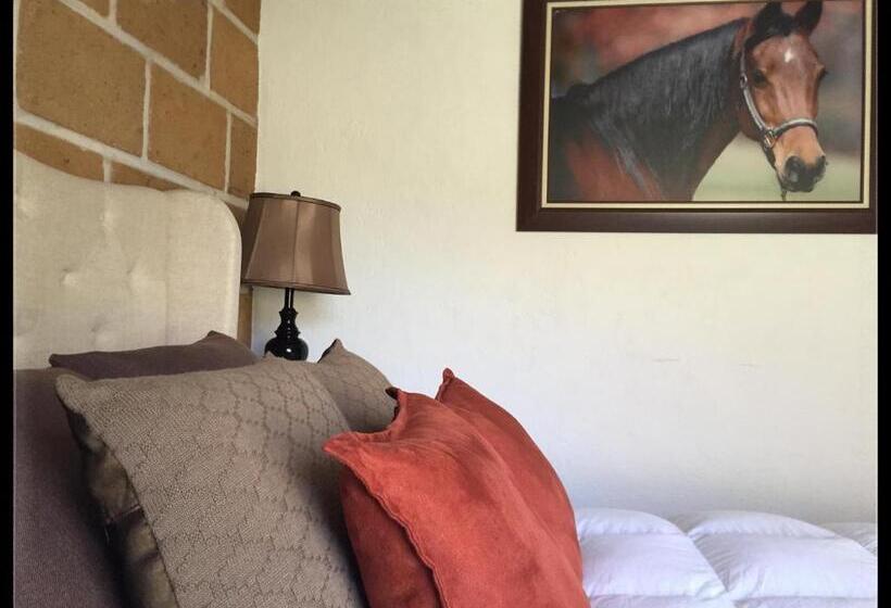 بنگله خانوادگی, Cabañas, Suites Y Habitaciones Rancho San Jorge