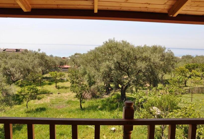 آپارتمان 1 خوابه با چشم‌انداز دریا, Guest House Luiza