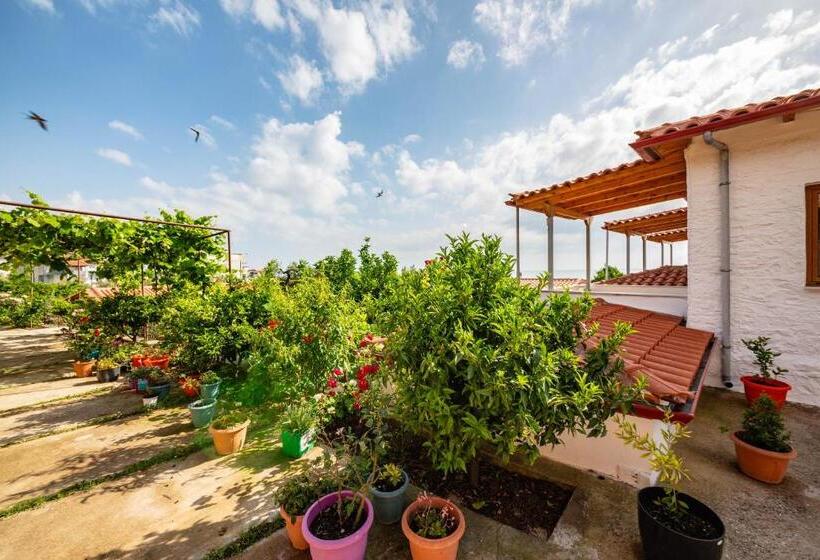 اتاق سوپریور با چشم‌انداز دریا و بالکن, Guest House Luiza