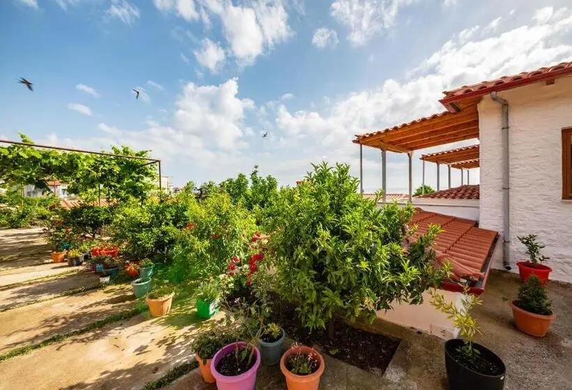 اتاق سوپریور با چشم‌انداز دریا و بالکن, Guest House Luiza