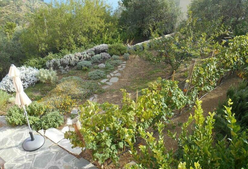 اتاق استاندارد با چشم‌انداز دریا, Il Nettare