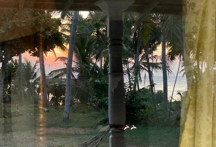 Номер Стандарт, Singhe House