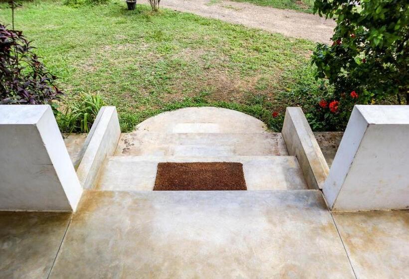 Люкс Повышенной Комфортности, Singhe House