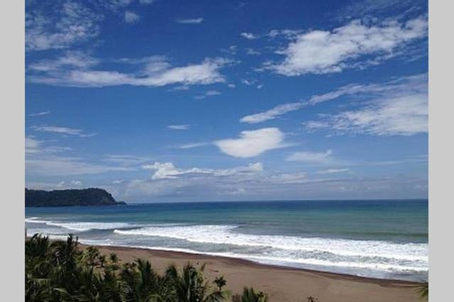 آپارتمان 1 خوابه با چشمانداز دریا, The Palms Jaco