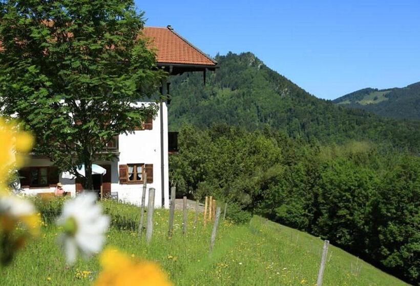 Апартаменты 1 Спальня с Террасой, Berggasthaus Weingarten