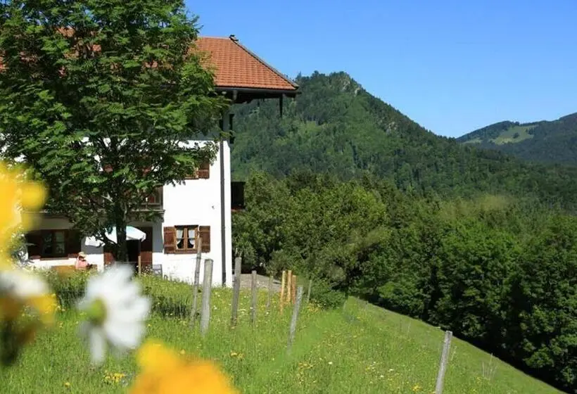 テラス付き１ベッドルームアパートメント, Berggasthaus Weingarten