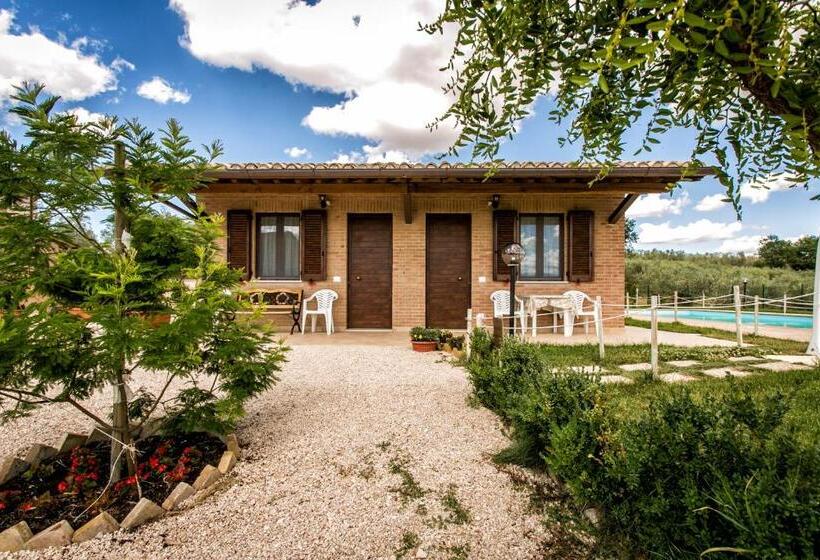 Номер Стандарт, Agriturismo La Rosa Montefalco