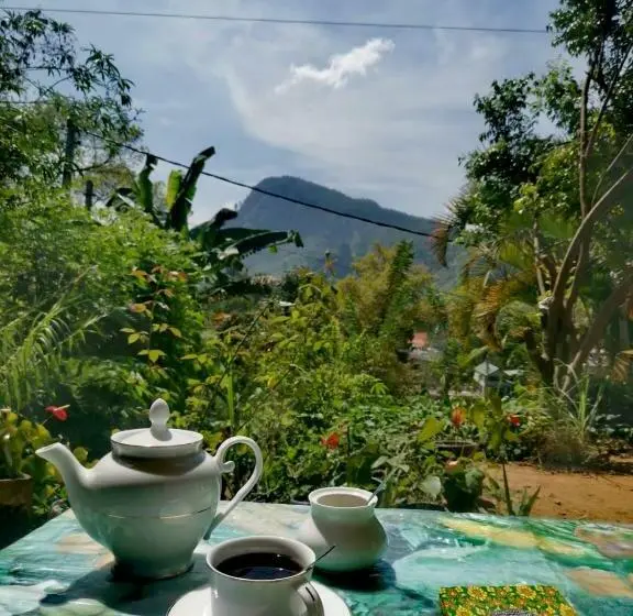 اتاق اکونومی, Eden View Ella   Tour Options In The Area
