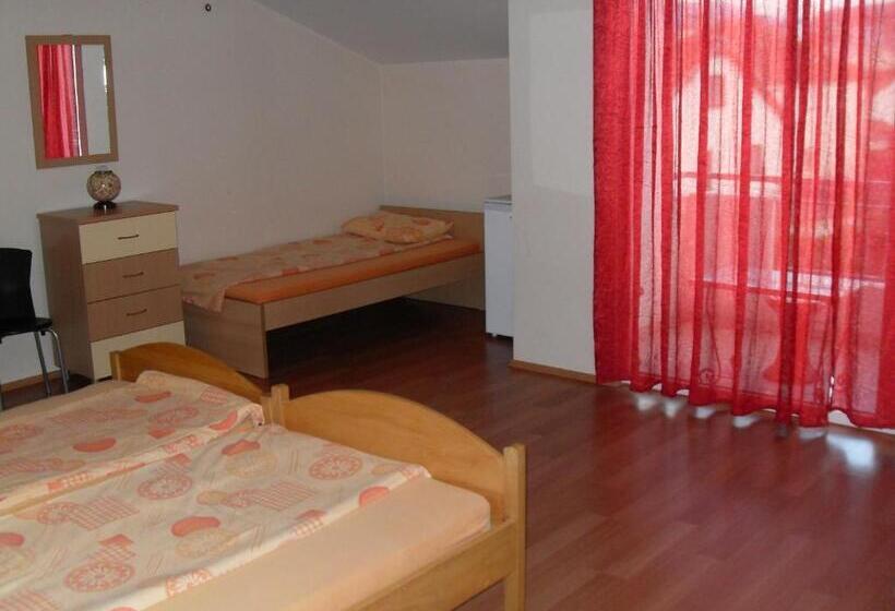 اتاق استاندارد چهارنفره با سرویس بهداشتی مشترک, Mitko S Guest House