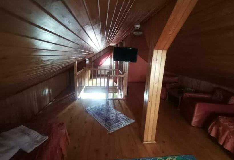 复式套房, Pensiunea Dapa