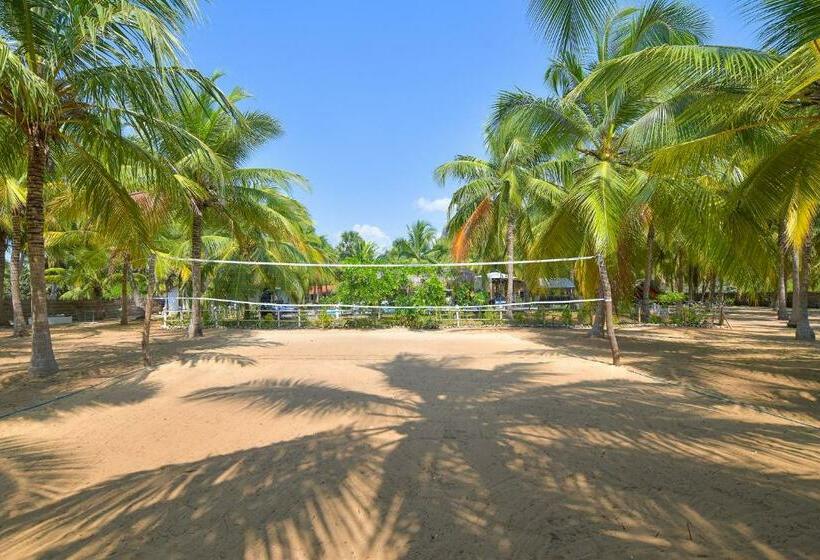 غرفة قياسية مطلّة علي حمام السباحة, De Silva Palm Resort