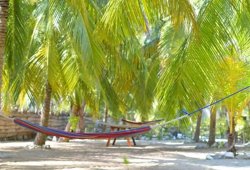 プールビュースタンダードルーム, De Silva Palm Resort