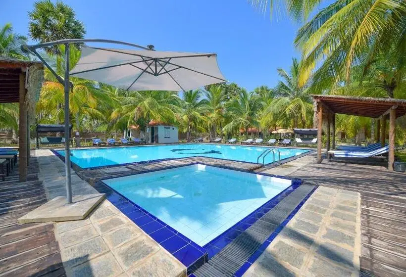 プールビュースタンダードルーム, De Silva Palm Resort